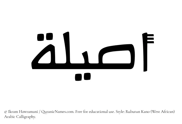The Muslim name Aseela written in Rubutun Kano calligraphic script
