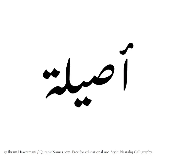 The Muslim name word Aseela written in Nastaliq calligraphic script
