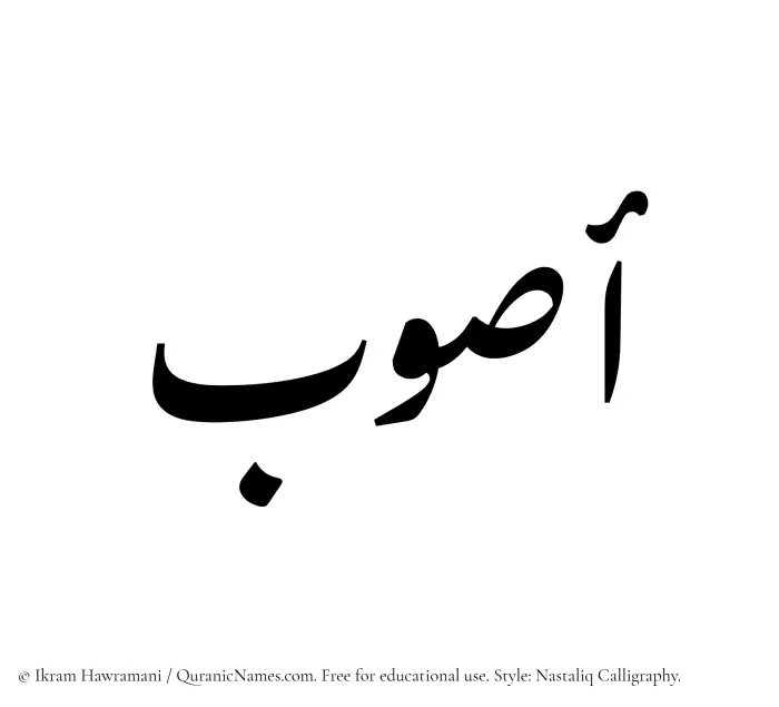 The Muslim name word Aswab written in Nastaliq calligraphic script