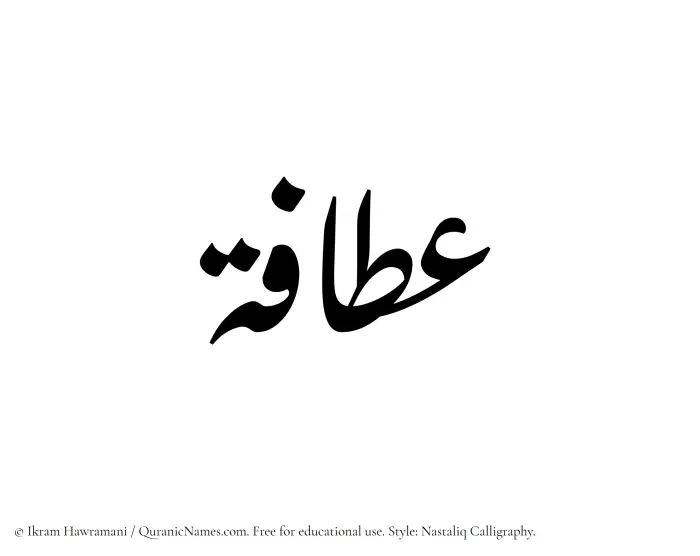 The Muslim name word Atafah written in Nastaliq calligraphic script