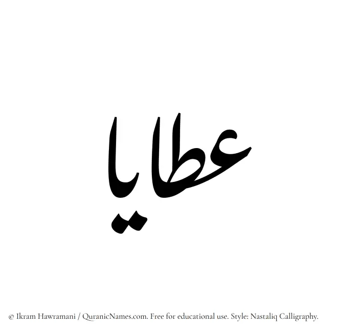 The Muslim name word Ataya written in Nastaliq calligraphic script
