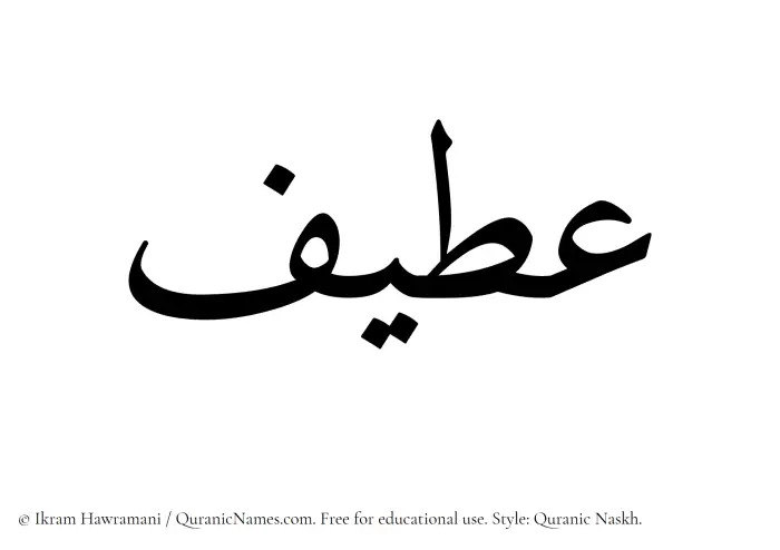 The Muslim name Ateef written in Quranic naskh script