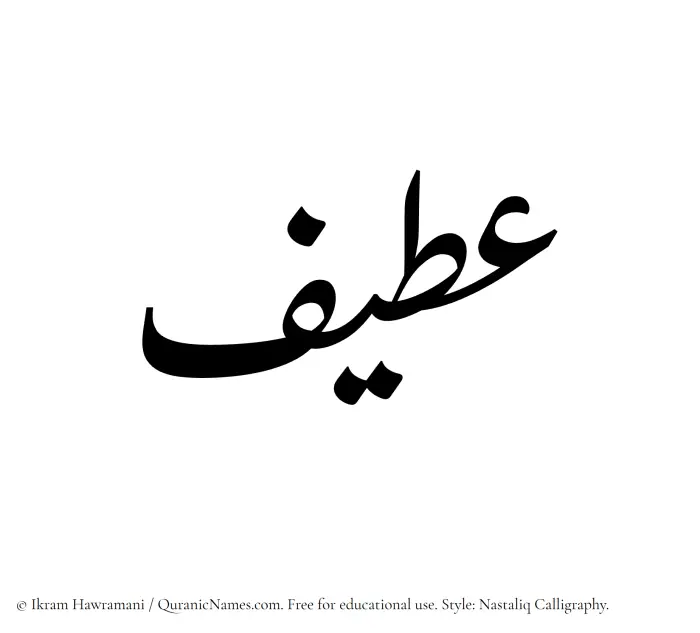 The Muslim name word Ateef written in Nastaliq calligraphic script
