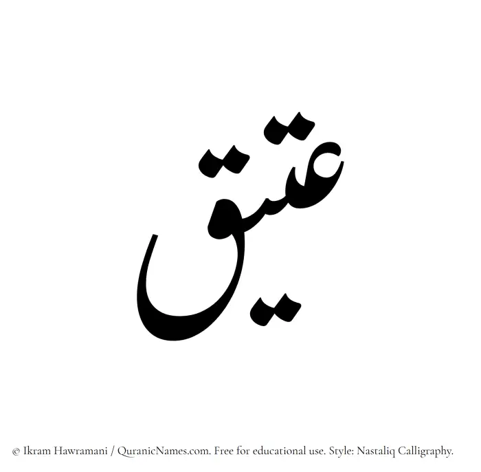 The Muslim name word Ateeq written in Nastaliq calligraphic script