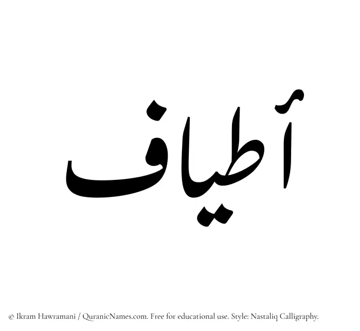 The Muslim name word Atyaaf written in Nastaliq calligraphic script