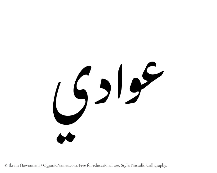 The Muslim name word Awadi written in Nastaliq calligraphic script