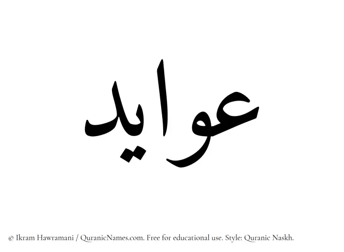 The Muslim name Awayed written in Quranic naskh script