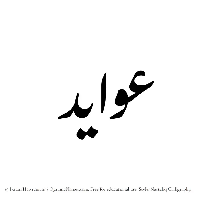 The Muslim name word Awayed written in Nastaliq calligraphic script