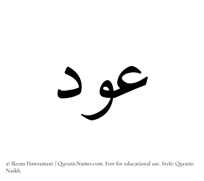 The Muslim name Awd written in Quranic naskh script