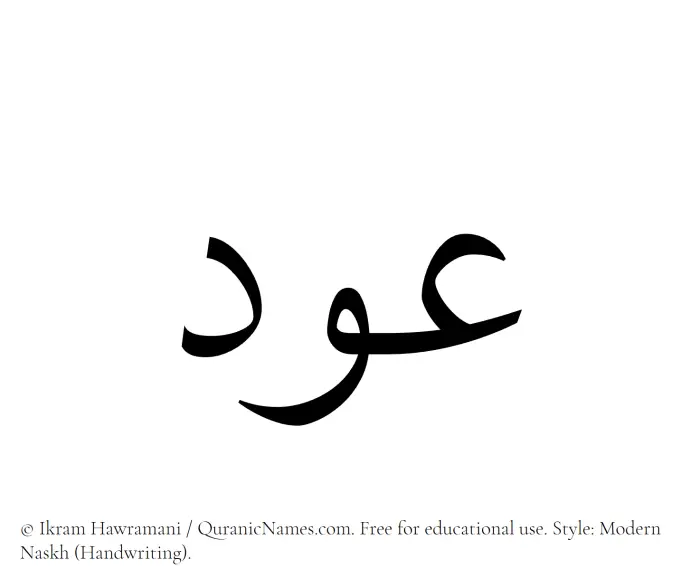 The Muslim name Awd written in naskh script