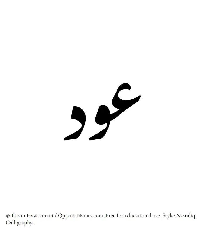 The Muslim name word Awd written in Nastaliq calligraphic script