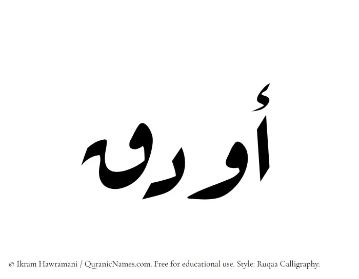 The Muslim name Awdaq written in Ruqaa calligraphic script