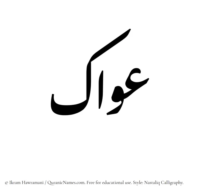 The Muslim name word Awwak written in Nastaliq calligraphic script