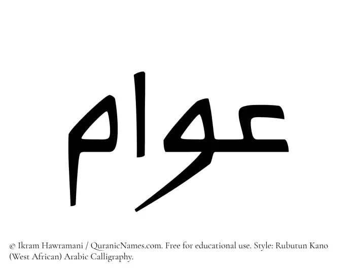 The Muslim name Awwam written in Rubutun Kano calligraphic script