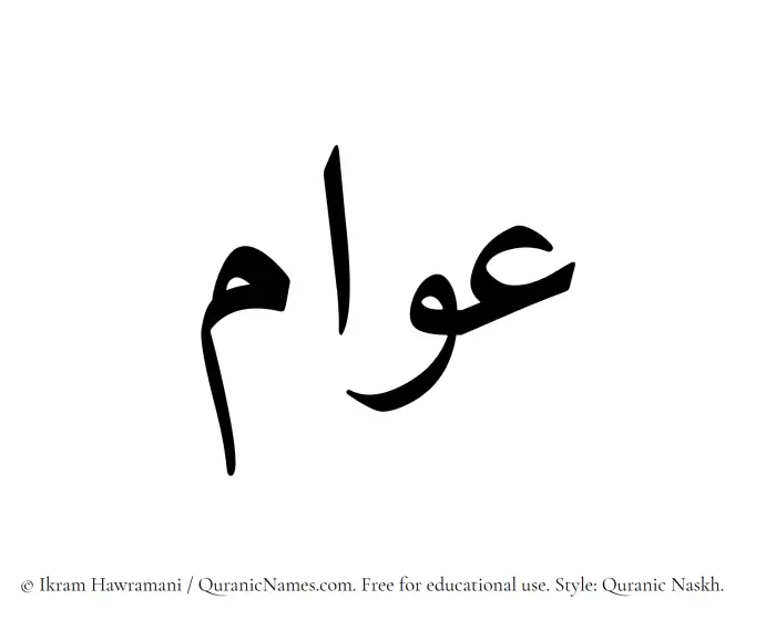 The Muslim name Awwam written in Quranic naskh script