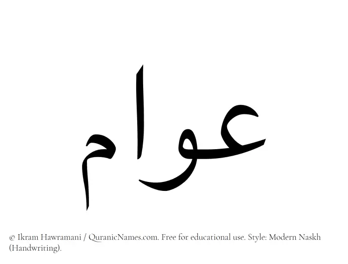 The Muslim name Awwam written in naskh script
