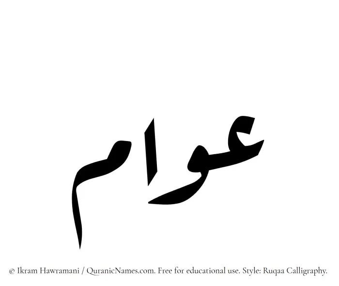 The Muslim name Awwam written in Ruqaa calligraphic script