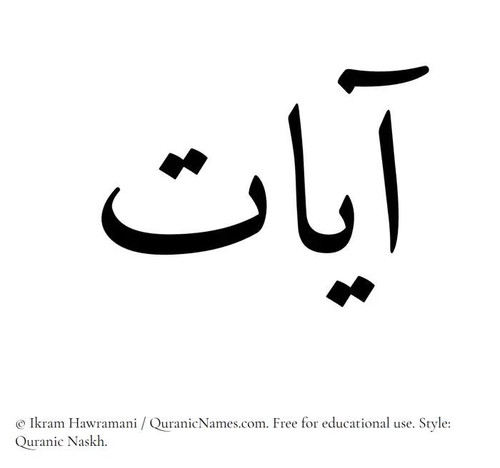 The Muslim name Ayaat written in Quranic naskh script