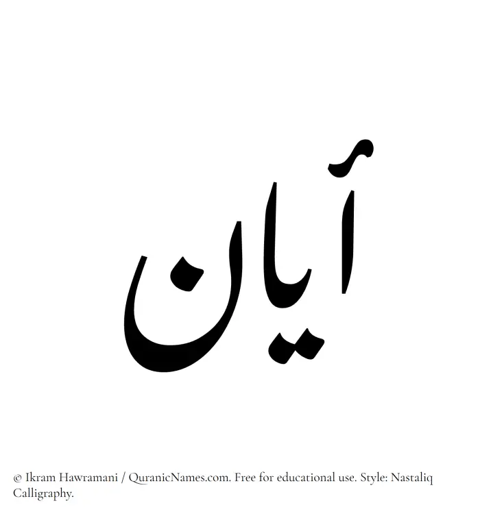 The Muslim name word Ayan written in Nastaliq calligraphic script
