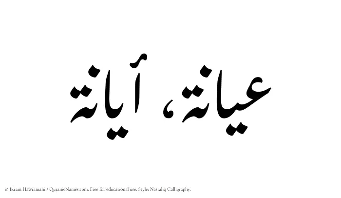 The Muslim name word Ayana written in Nastaliq calligraphic script
