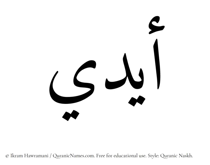 The Muslim name Aydi written in Quranic naskh script