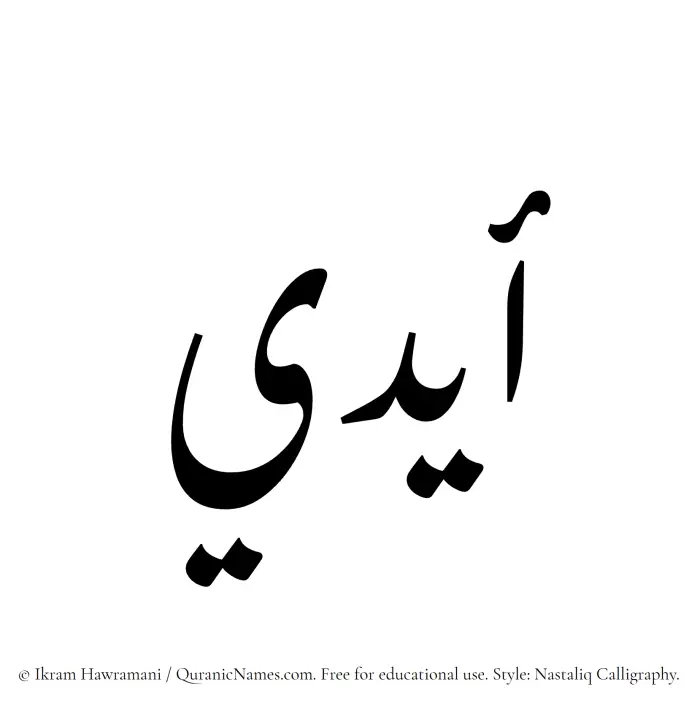 The Muslim name word Aydi written in Nastaliq calligraphic script