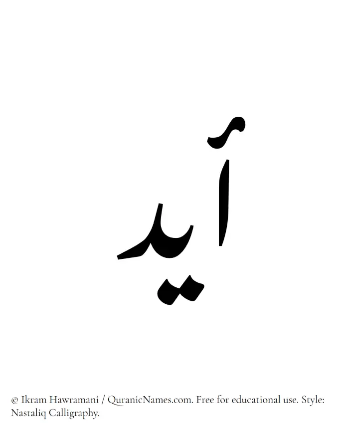 The Muslim name word Aydin written in Nastaliq calligraphic script
