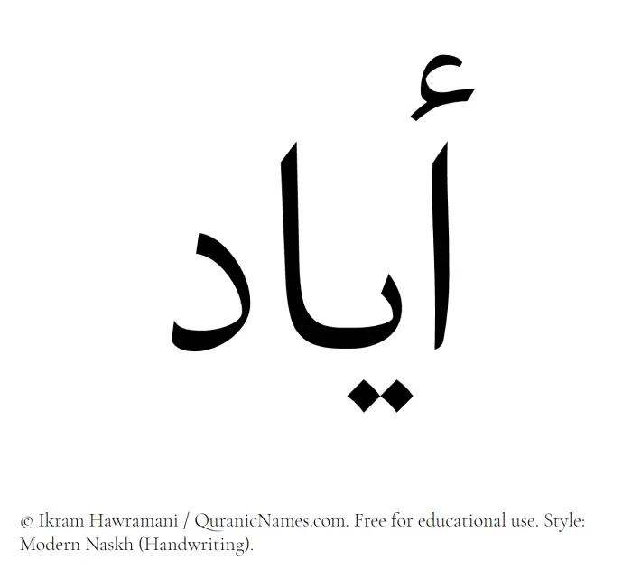 The Muslim name Ayyad written in naskh script