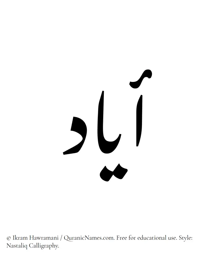 The Muslim name word Ayyad written in Nastaliq calligraphic script