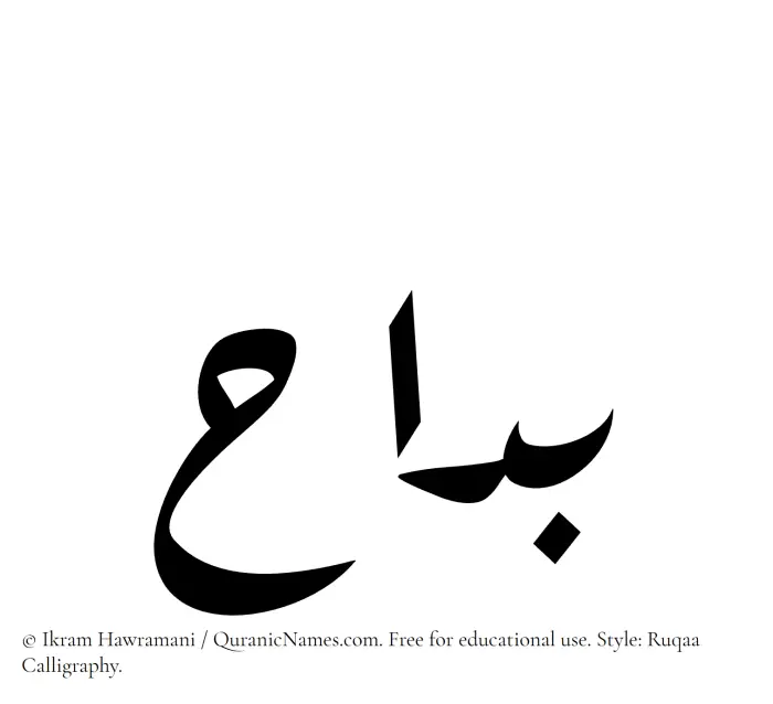 The Muslim name Badaah written in Ruqaa calligraphic script