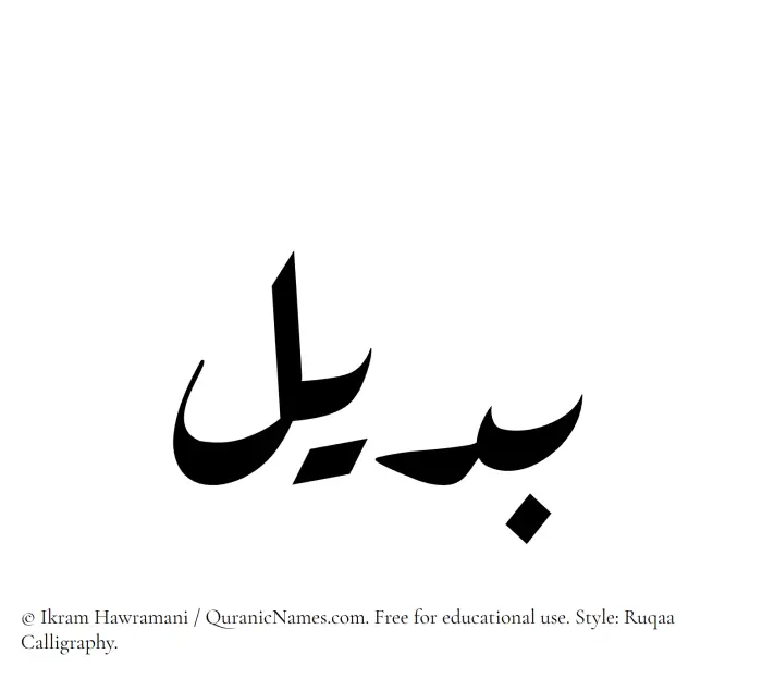 The Muslim name Badeel written in Ruqaa calligraphic script