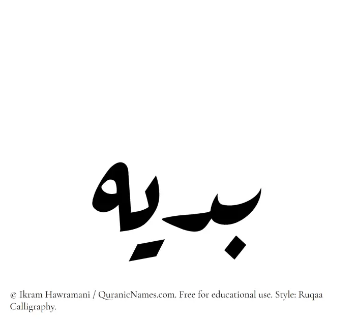 The Muslim name Badih written in Ruqaa calligraphic script
