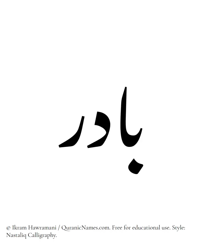 The Muslim name word Badir written in Nastaliq calligraphic script