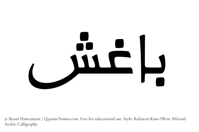 The Muslim name Baghish written in Rubutun Kano calligraphic script