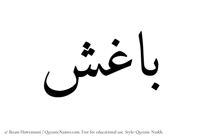 The Muslim name Baghish written in Quranic naskh script