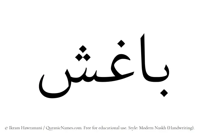 The Muslim name Baghish written in naskh script