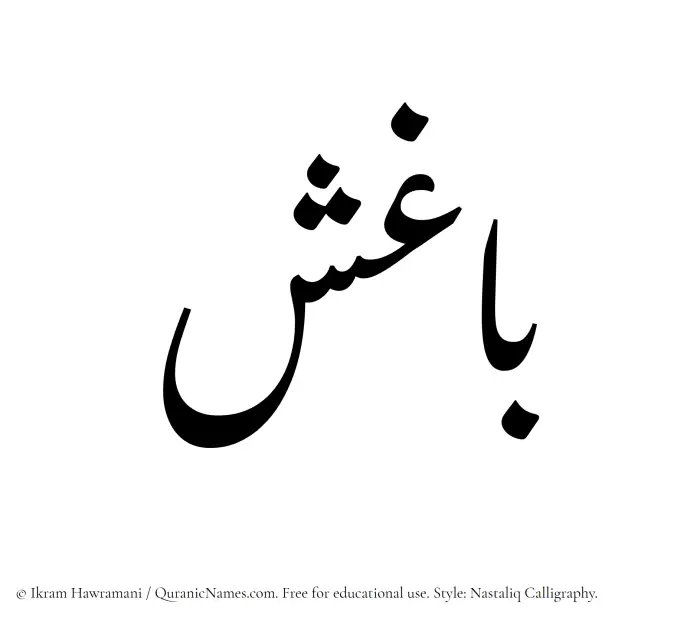 The Muslim name word Baghish written in Nastaliq calligraphic script