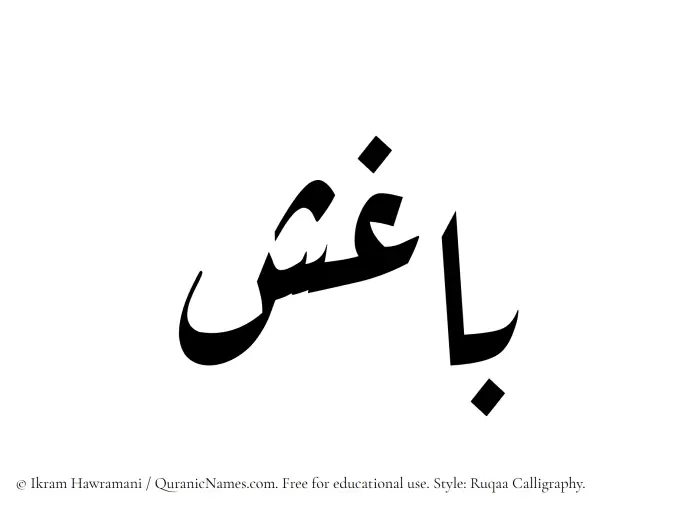 The Muslim name Baghish written in Ruqaa calligraphic script