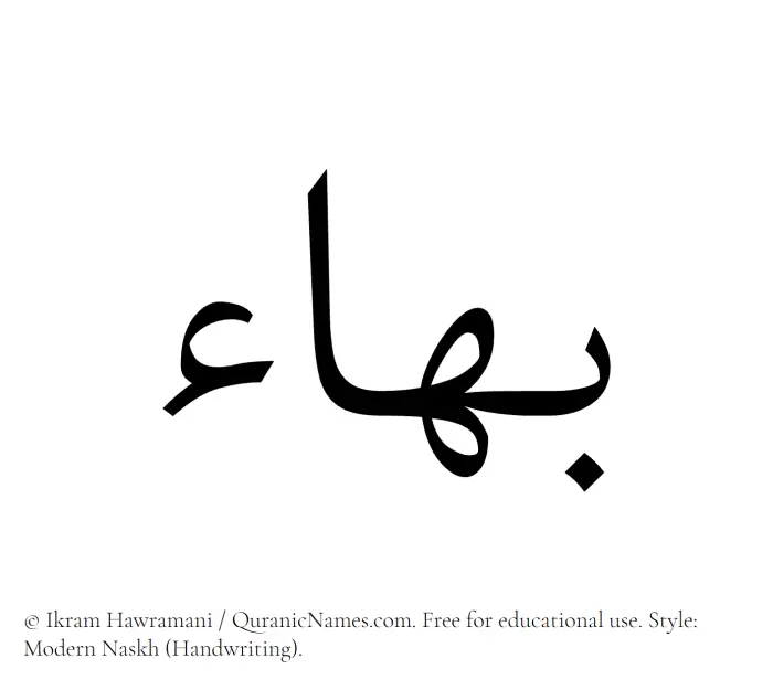 The Muslim name Baha written in naskh script