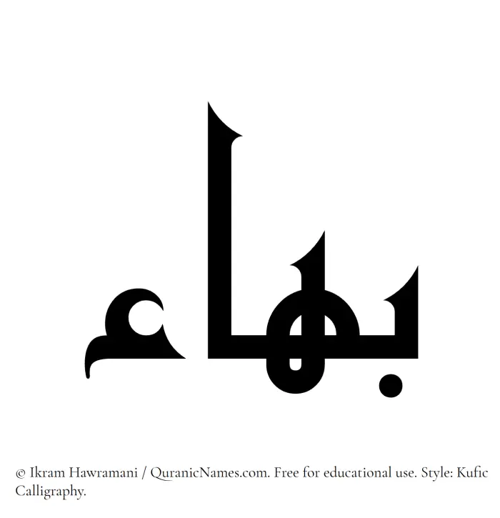 The Muslim name Baha written in Kufi/Kufic calligraphic script