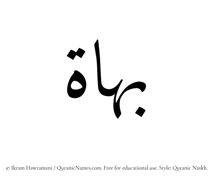 The Muslim name Bahat written in Quranic naskh script