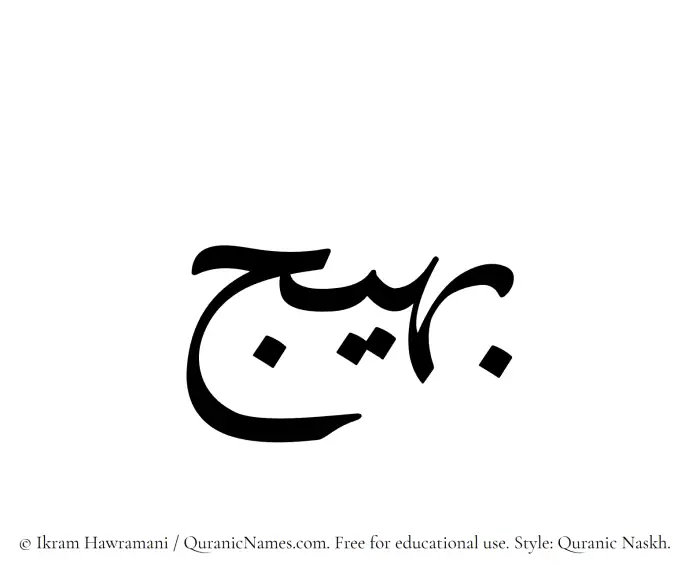 The Muslim name Baheej written in Quranic naskh script