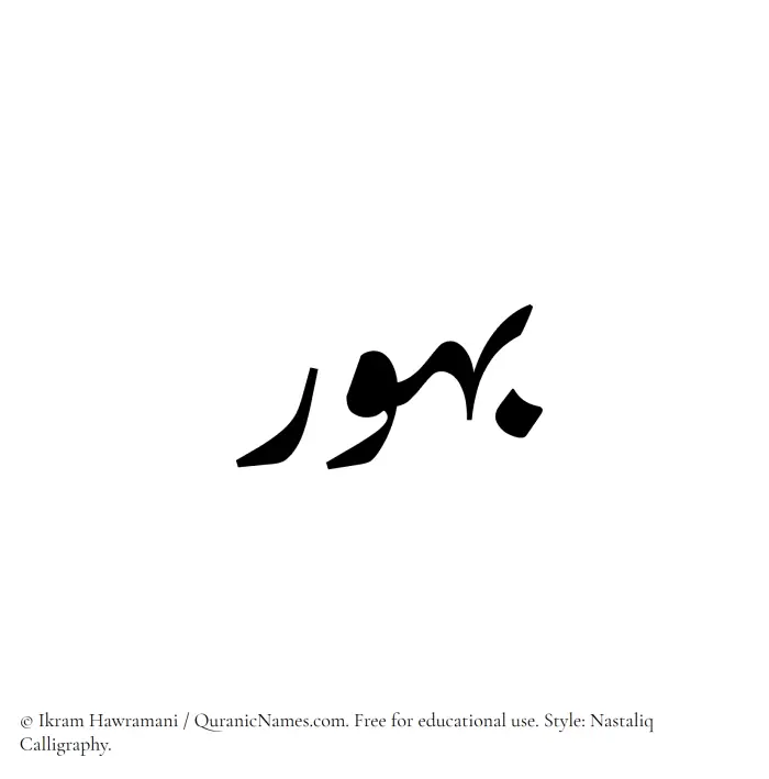 The Muslim name word Bahur written in Nastaliq calligraphic script