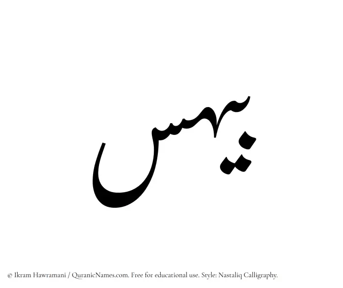 The Muslim name word Baihas written in Nastaliq calligraphic script
