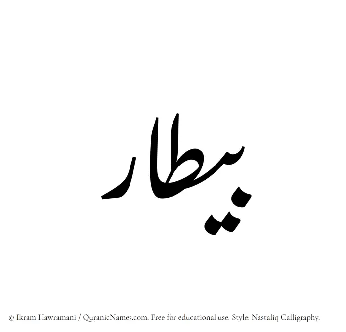 The Muslim name word Baitaar written in Nastaliq calligraphic script