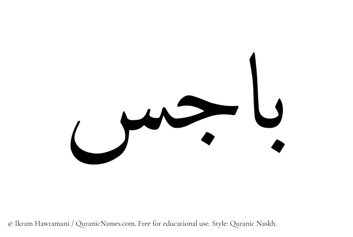 The Muslim name Bajes written in Quranic naskh script