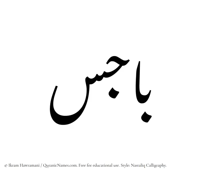 The Muslim name word Bajes written in Nastaliq calligraphic script