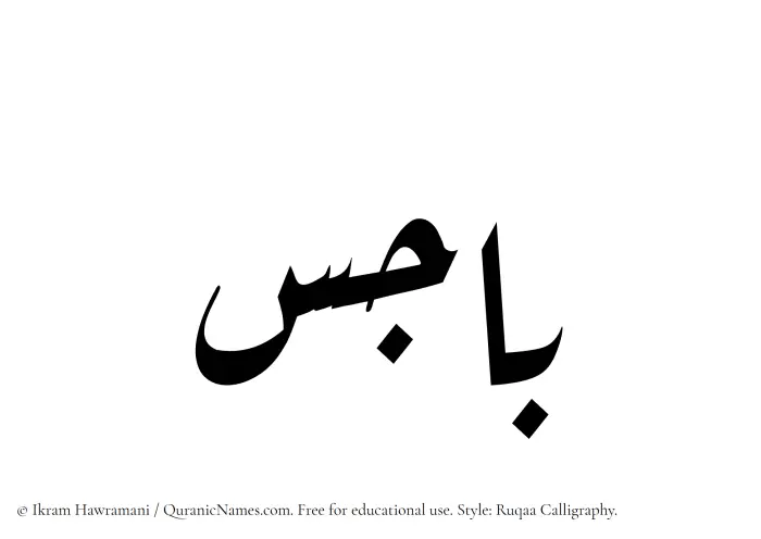 The Muslim name Bajes written in Ruqaa calligraphic script