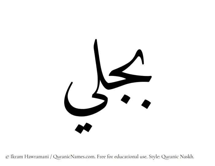 The Muslim name Bajli written in Quranic naskh script