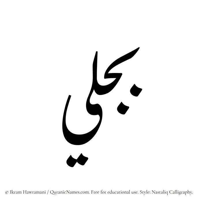 The Muslim name word Bajli written in Nastaliq calligraphic script
